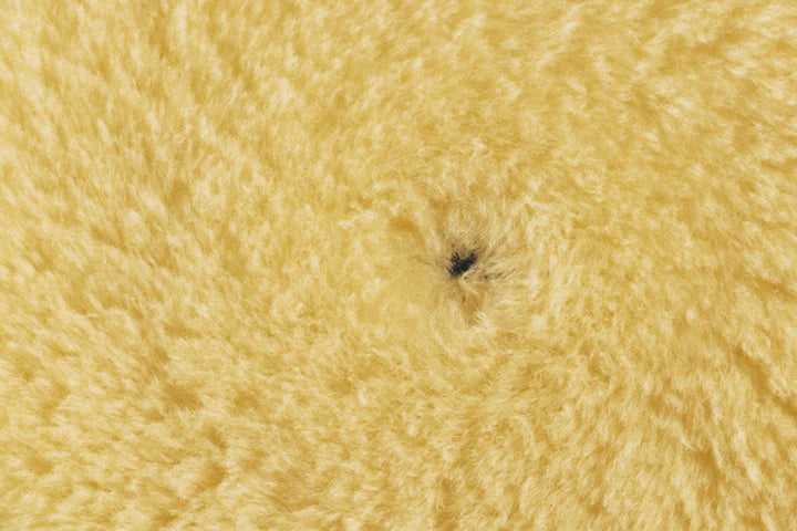 RUPES (9.BW150M) DA YELLOW WOOL FINE POLISHING PAD – Ø 130/145 MM