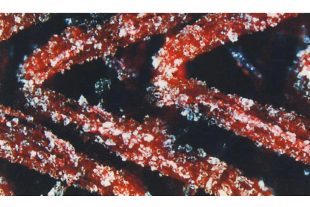 Starcke Velcro Sanding Disc with Foam – 6 Inch Hook & Loop | Grit 3000 | (Pack of 10)